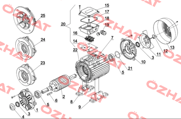 13130000A03D Cantoni