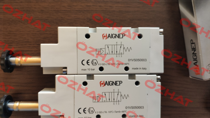 01VS050003 Aignep