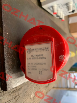 2102020010 Mazurczak