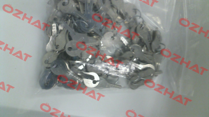 205-9503.00-02233 (801 10 389) Dirak