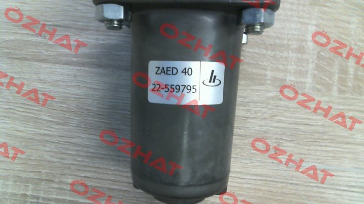 22-559795 Hoerbiger