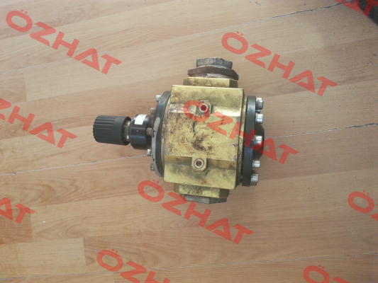 GK AI SI 10MG  Eppensteiner