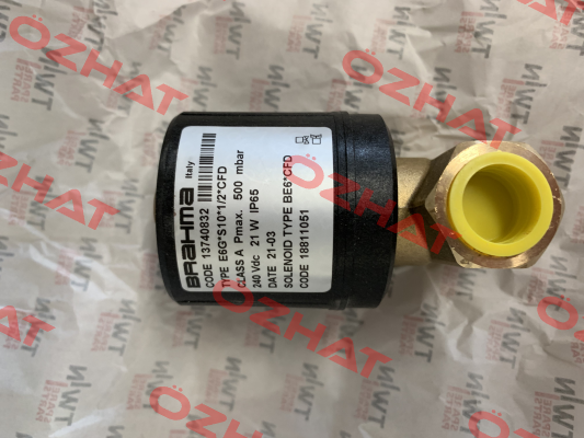 13740832 Brahma