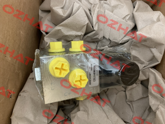 CDL046WI1MS11 Brevini