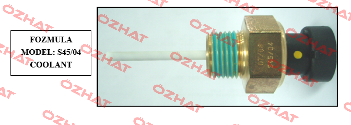 S45/04 Fozmula
