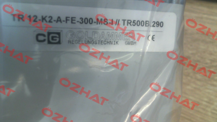 TR 12-K2-A-FE-300-MS-I Goldammer
