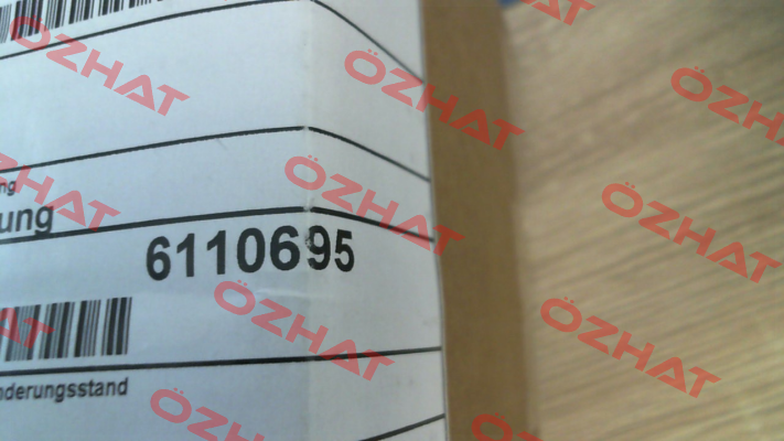6110695 Baumann