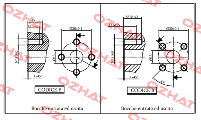 PS1017091D Brevini