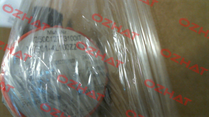 WE01-4L100Z24/0H Voith