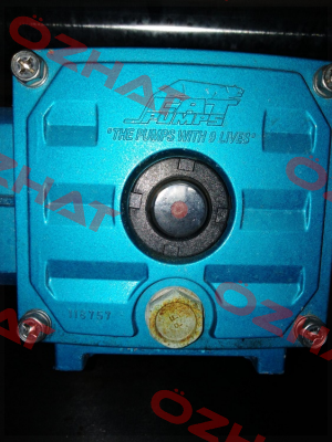 6132 Cat Pumps