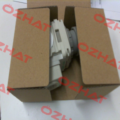 R1000-8G-W-NT Ckd