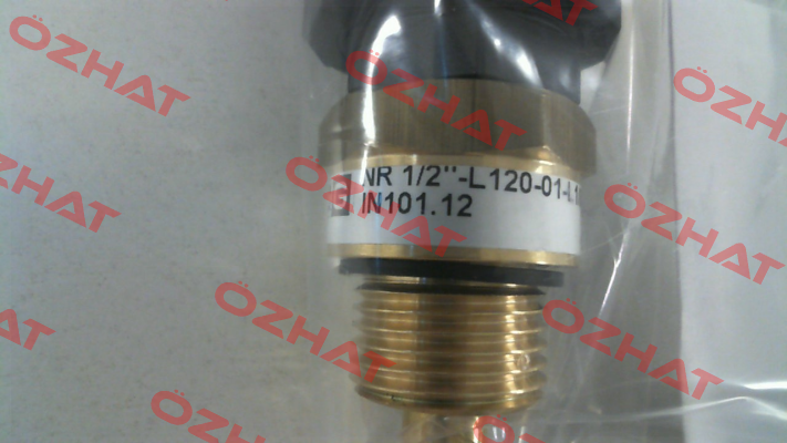 IN101.12   NR 1/2" - L120-01 Goldammer