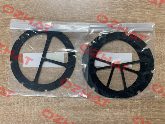 Gasket kit for BEM 505-A4 HP30 exchanger ( Cod. FLKITGUARN5" ) Flovex