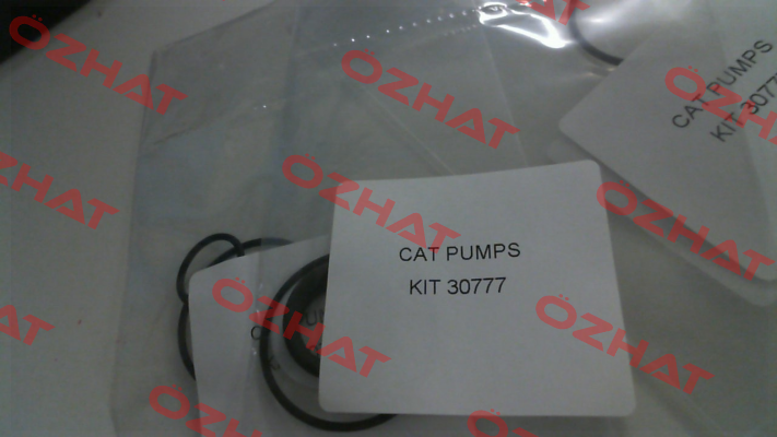 30777 Cat Pumps