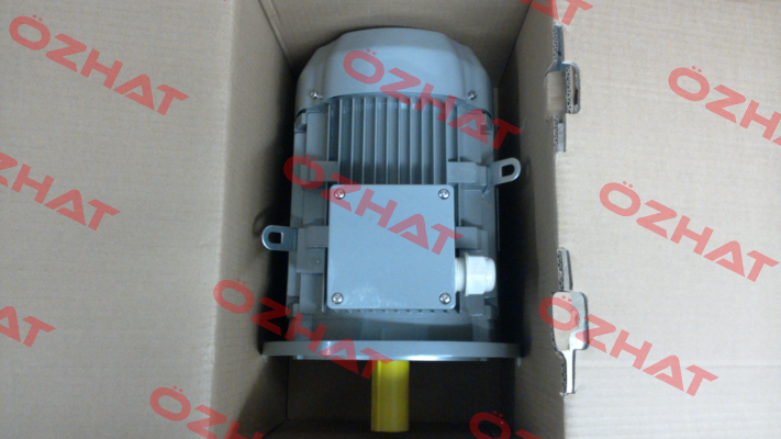 FCPA 132S-6 /PHE AC Motoren