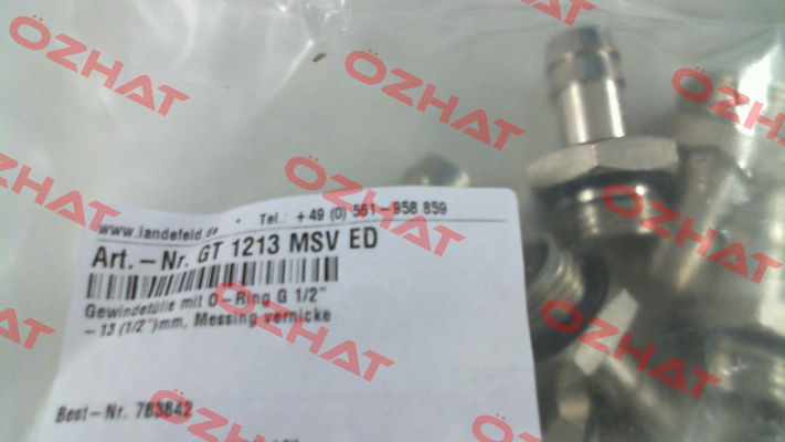 GT1213 MSV ED Landefeld