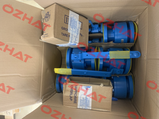 FE2 BALL VALVE A105 + 316 DN 25 A150 BALANCE HOLE + STRIPPLABLE VARNISH Adler Spa