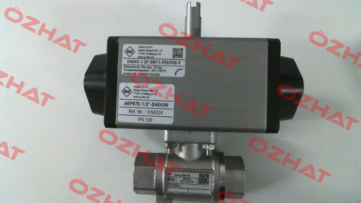 STV200072230/ AKP87E-1/2"-DAE42N-GROB BEE