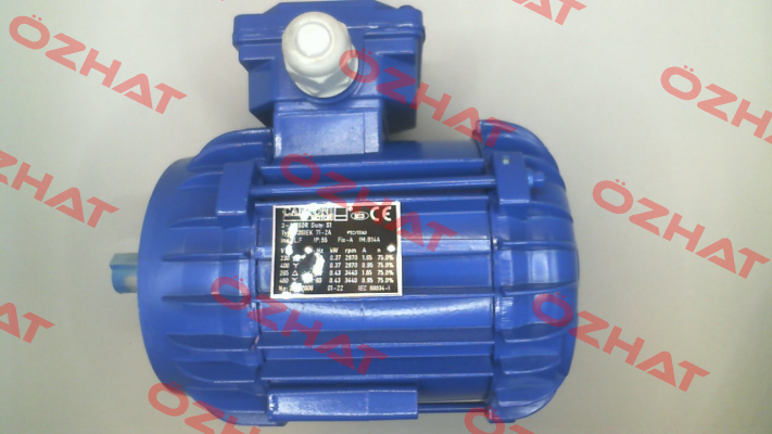 Nr: 1107A002625IE3 Type 3SIEK 71-2A Cantoni