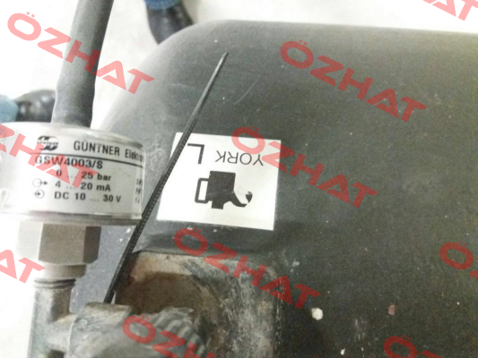 5208161 GS (W) 4003.1/S  0 - 25 bar Guntner