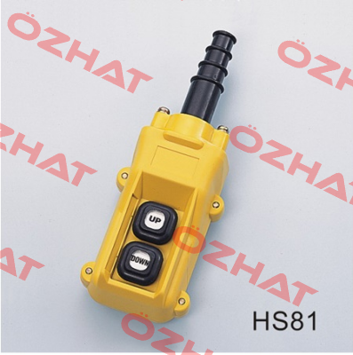 HS-81/C20 1-SP N80C20*1 Auspicious