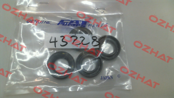 43228 Cat Pumps