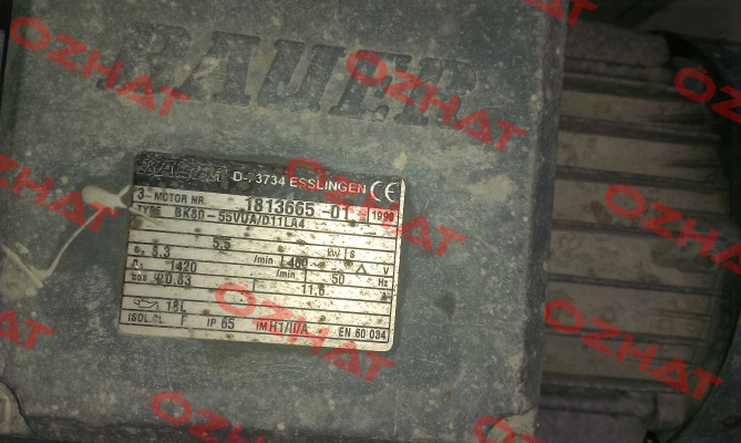BK80-55VUA/DHE11LA4C/SP  Bauer