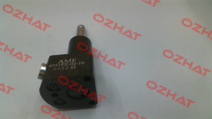 66480 \  6951FZ-02-10 Amf
