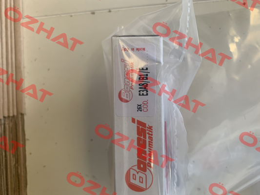 E3A8/B1/E Bonesi Pneumatic