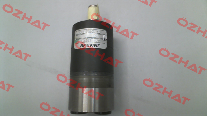 BGM-S-032-FR0-M06-CL160-N-XXXX-000-X XX-XX/ SEM 35100321020 Brevini