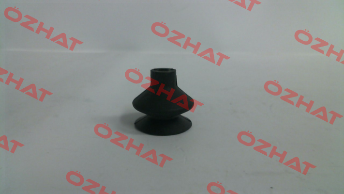 10.01.06.00376 Schmalz