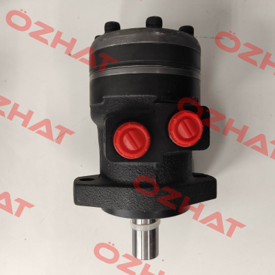 BR-O-100-2A-M08-CL250-N-XXXX-000-X XX-XX / SEM 51010011B31 Brevini
