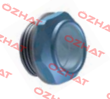 LCP-G60-N-C-B-S-P01     2" BSP MP Filtri