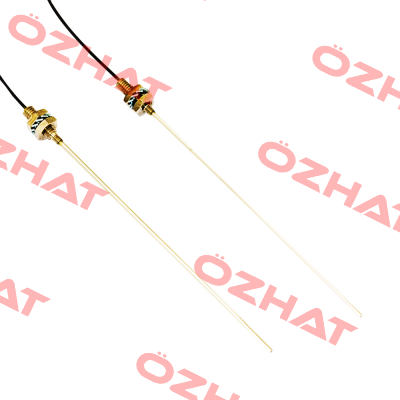 CF/RA4-10 Micro Detectors / Diell (now Datasensing)