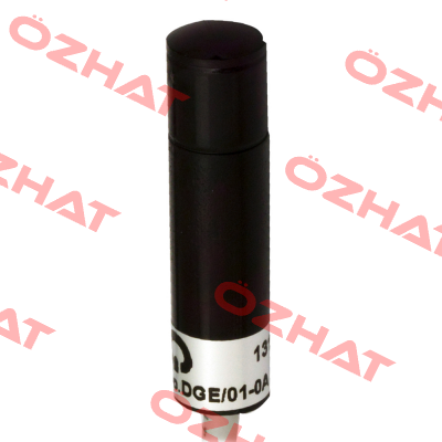DGE/00-1B Micro Detectors / Diell (now Datasensing)