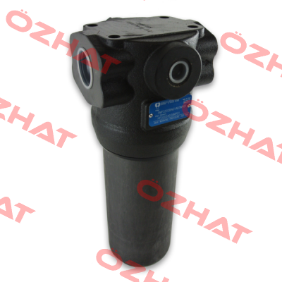 FMP-320-2-B-A-G1-A06-N-P01 MP Filtri