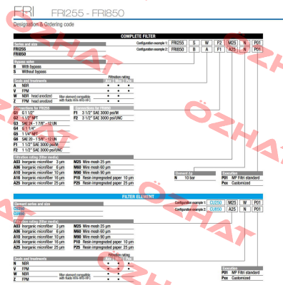 FRI-850-B-A-F1-A03-N-P01 MP Filtri
