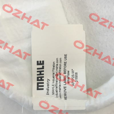 PPSG-001-WS-SS2 (0001) MAHLE