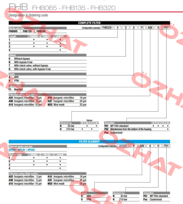 FHB-065-2-S-A-F1-A10-H-P01 MP Filtri