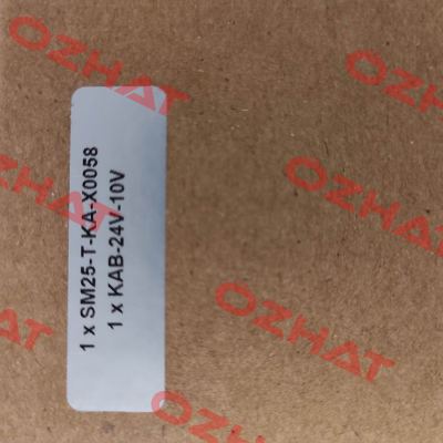 SM25-T-KA-X0058 EDDYLAB