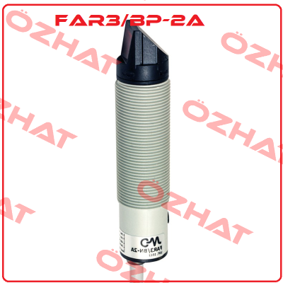 FAR3/BP-2A Micro Detectors / Diell (now Datasensing)