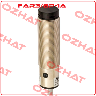 FAR3/BP-1A Micro Detectors / Diell (now Datasensing)