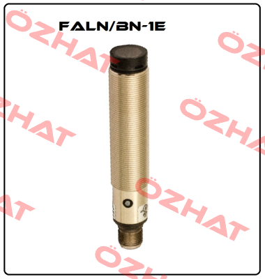 FALN/BN-1E Micro Detectors / Diell (now Datasensing)
