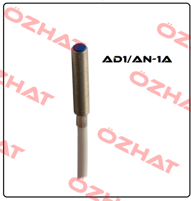 AD1/AN-1A Micro Detectors / Diell (now Datasensing)