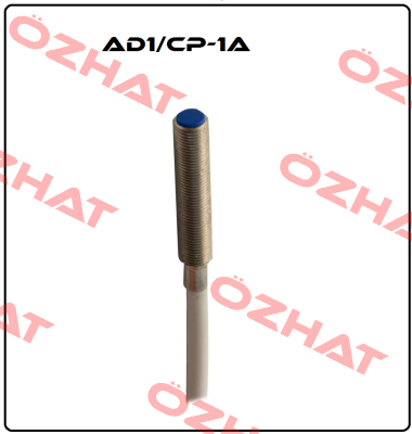 AD1/CP-1A Micro Detectors / Diell (now Datasensing)