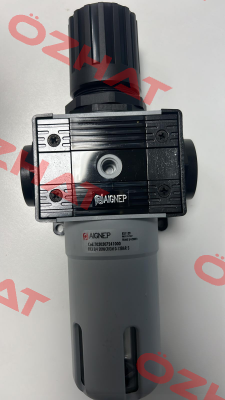 T030307241000 Aignep