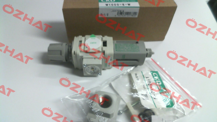 W1000-6-W-A10W Ckd