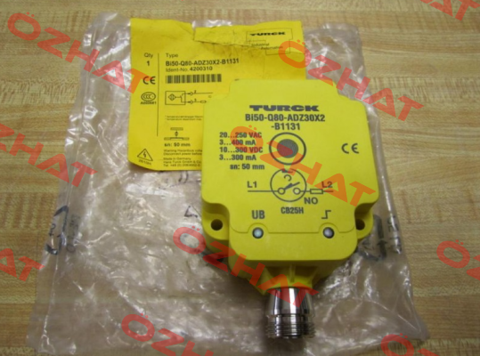 BI50-Q80-ADZ30X2-B1131 Turck