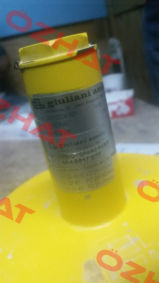 FGDR40  Giuliani Anello