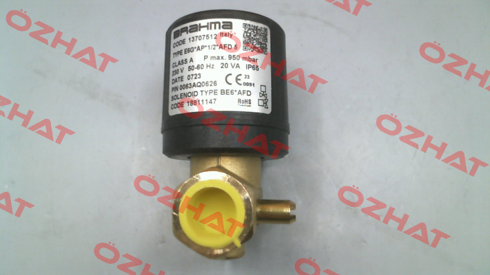 E6G*AP* 1/2ADF5 Brahma
